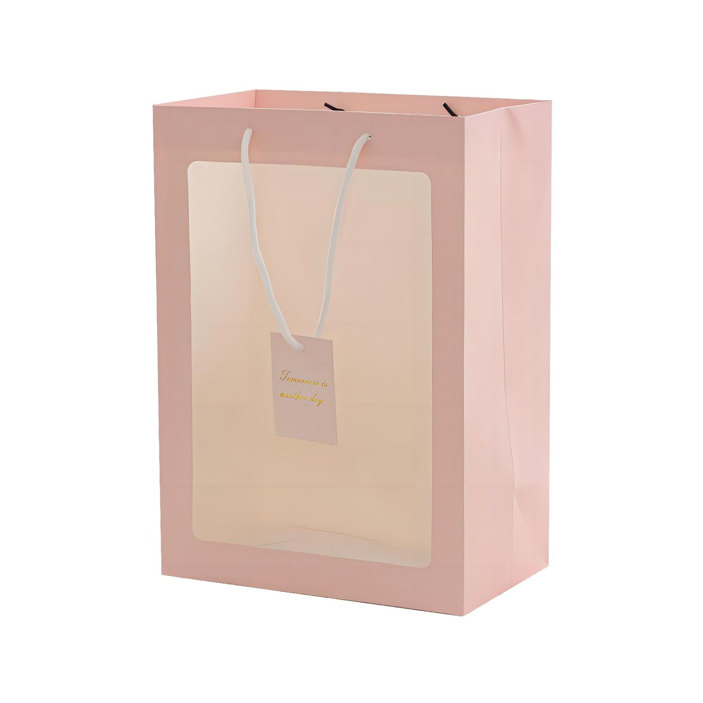 GIFT BAG QB/T 4379 30x20x15cm