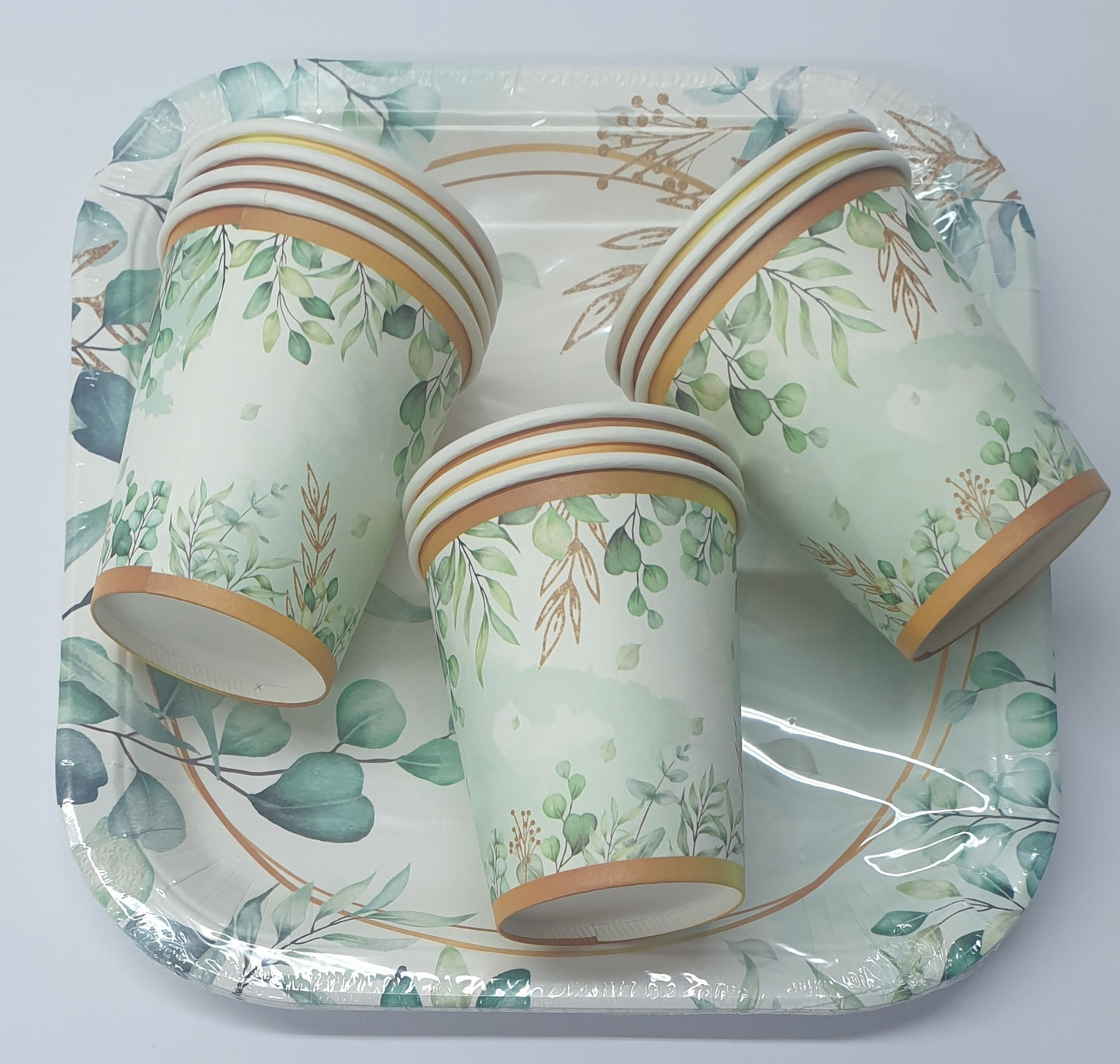 10pc Paper Plates And 10pc Paper Cup Set 1005