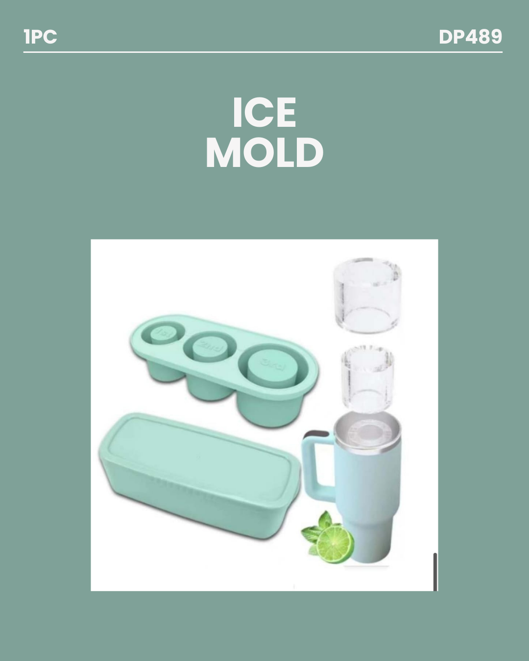 Ice Mold DP489