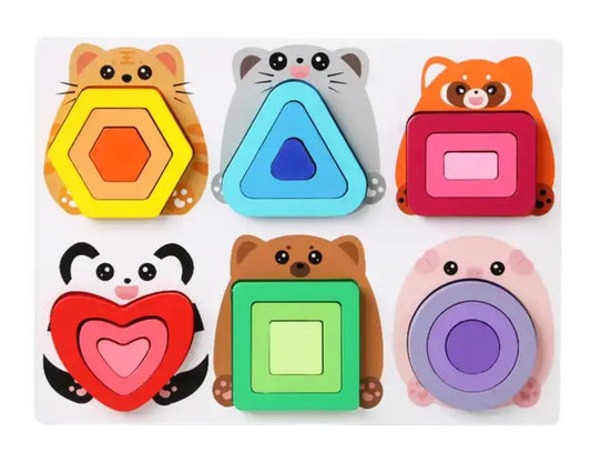 Geometric ANV Puzzle Toy AY-352