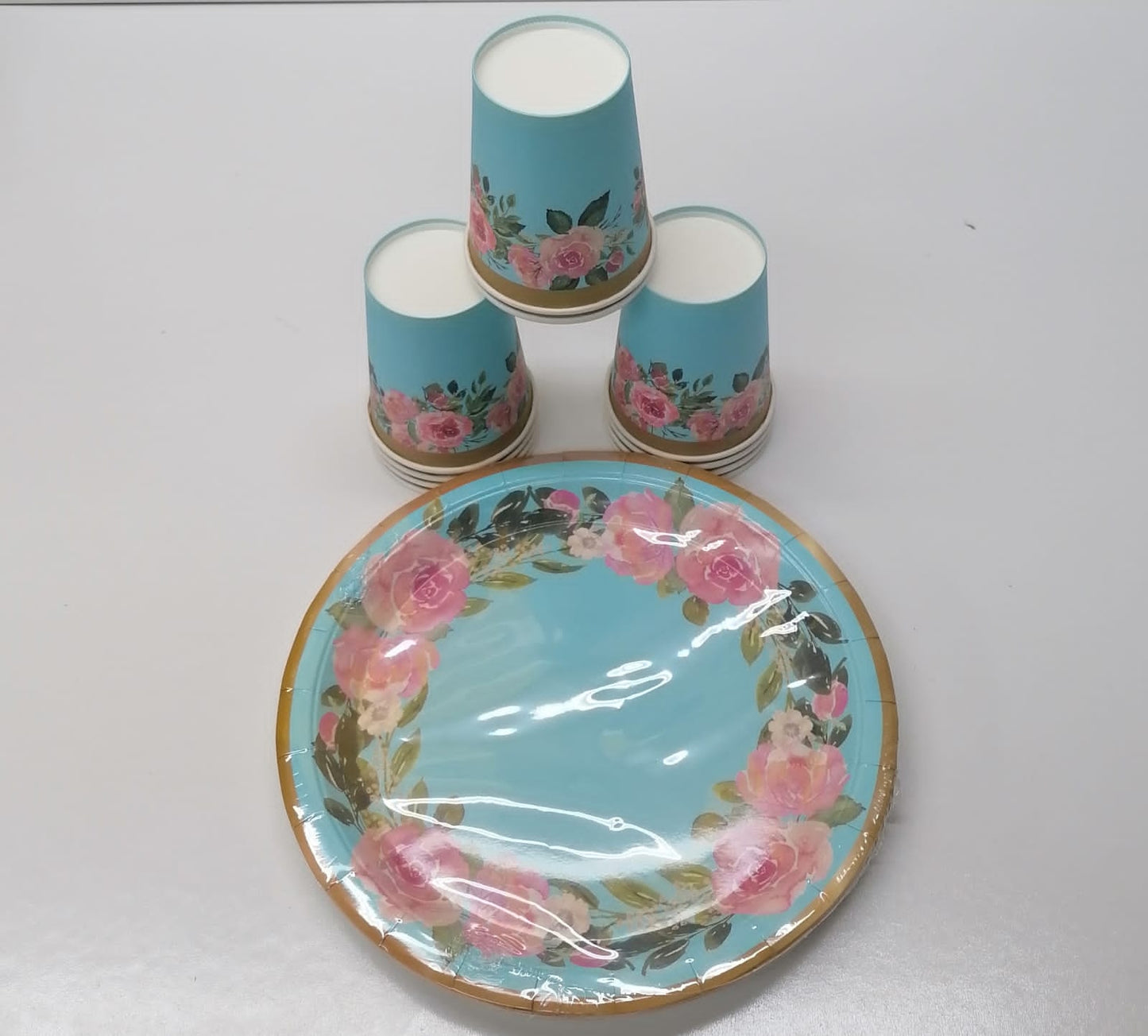 10pc Paper Plates And Paper Glass Combo 1005