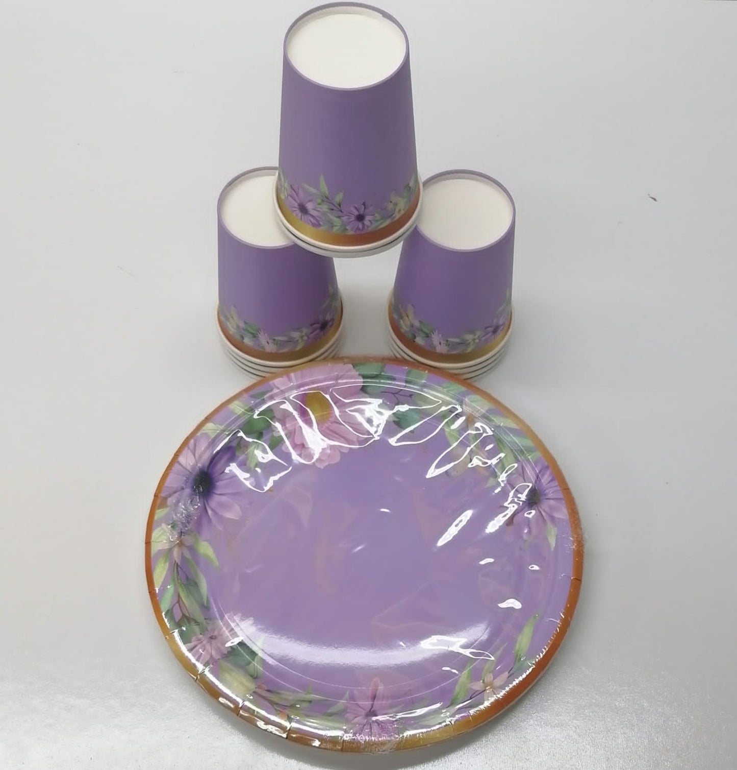 10pc Paper Plates And Paper Glass Combo 1005
