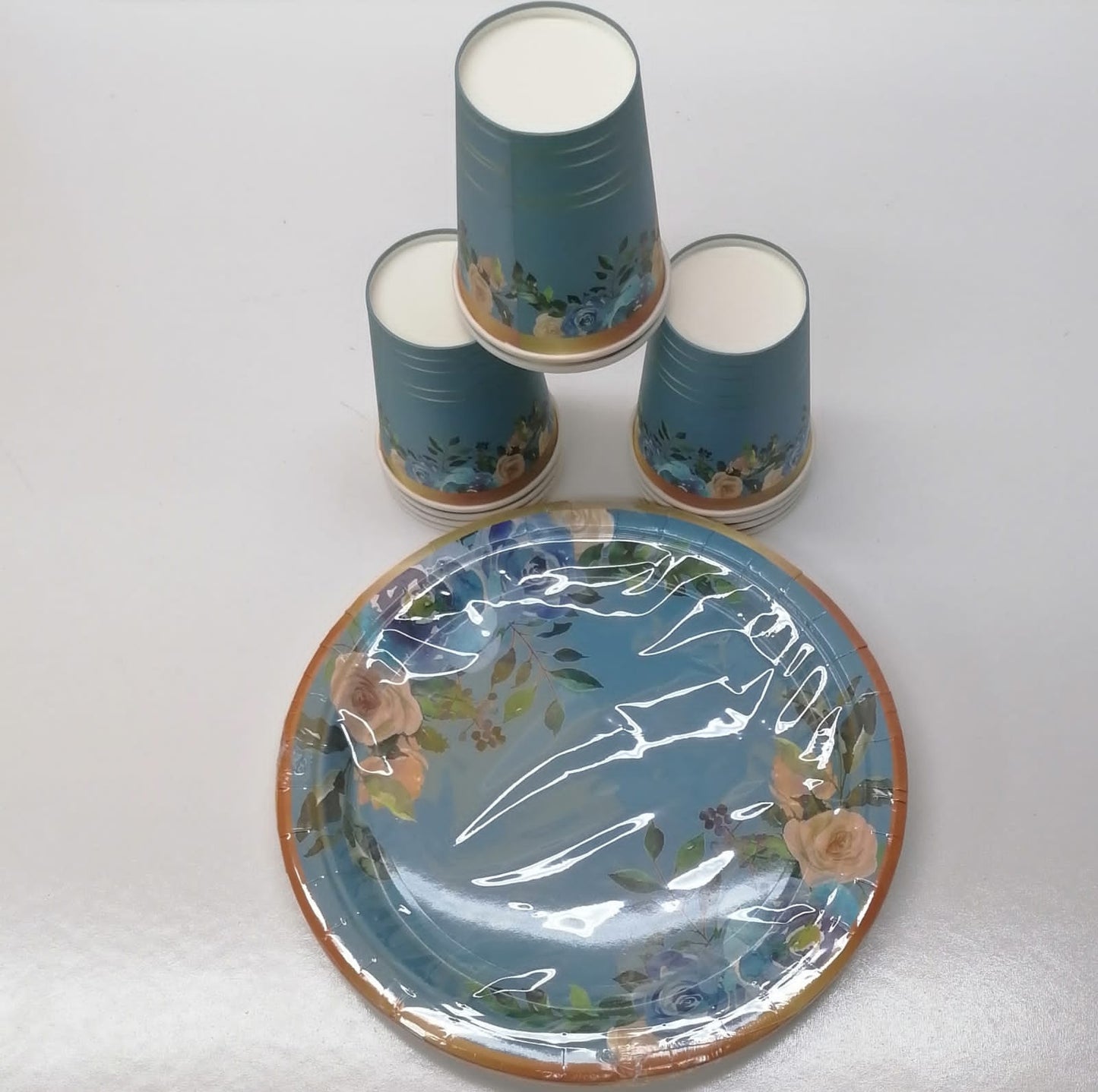 10pc Paper Plates And Paper Glass Combo 1005
