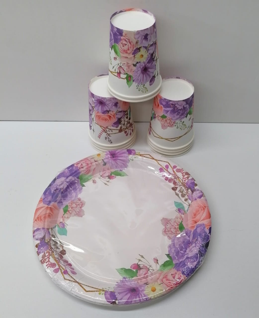 10pc Paper Plates And Paper Glass Combo 1005