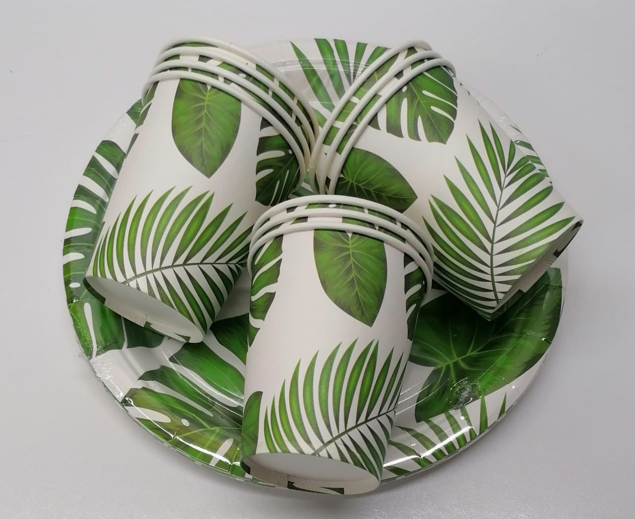 10pc Paper Plates And Paper Glass Combo 1005