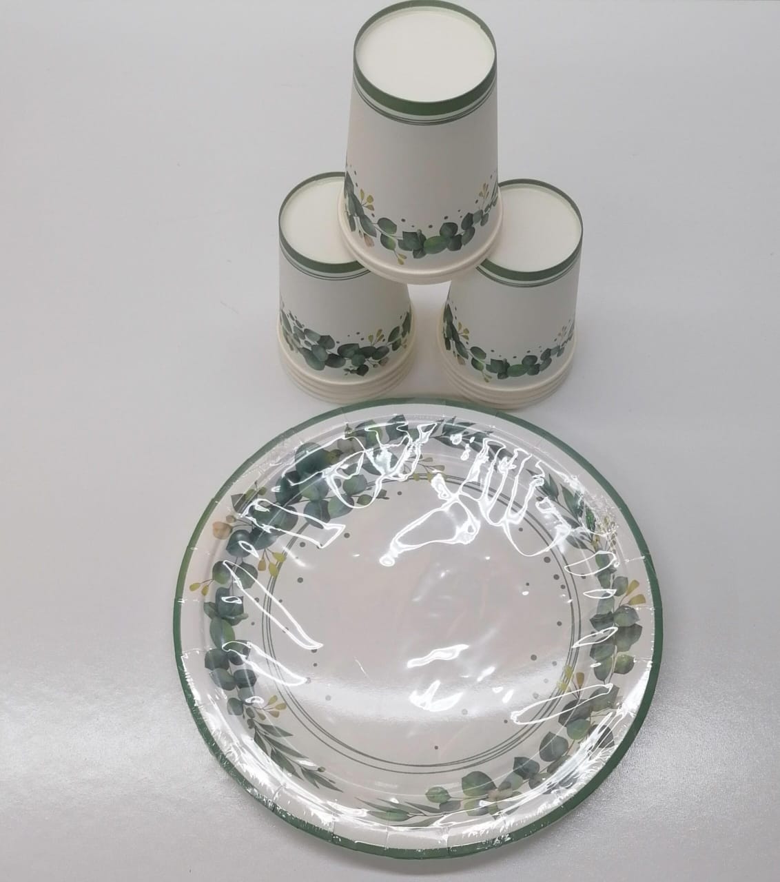 10pc Paper Plates And Paper Glass Combo 1005