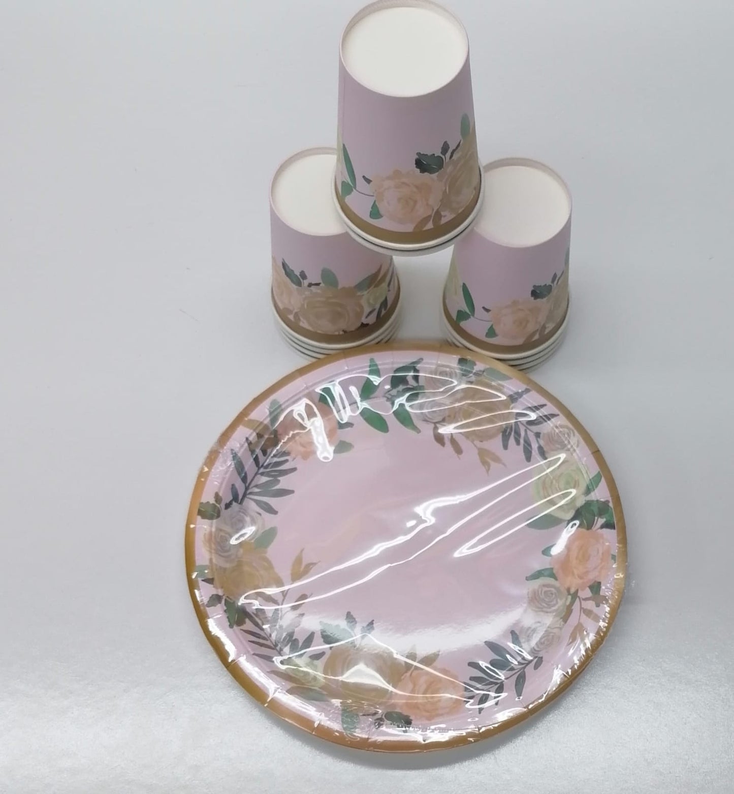 10pc Paper Plates And Paper Glass Combo 1005