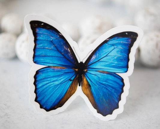Whiteboard Eraser Butterfly LF-509