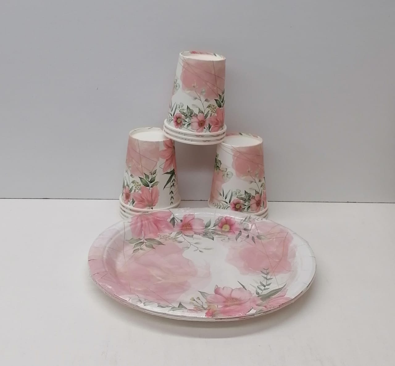 10pc Paper Plates And Paper Glass Combo 1005