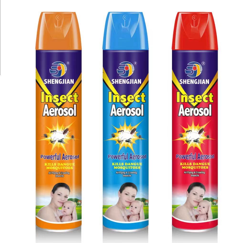 Random Powerful Insect Aerosol 300ml DZ6100