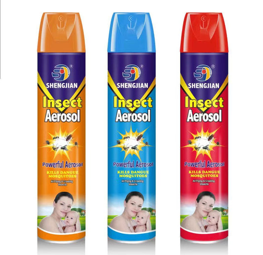 Random Powerful Insect Aerosol 300ml DZ6100
