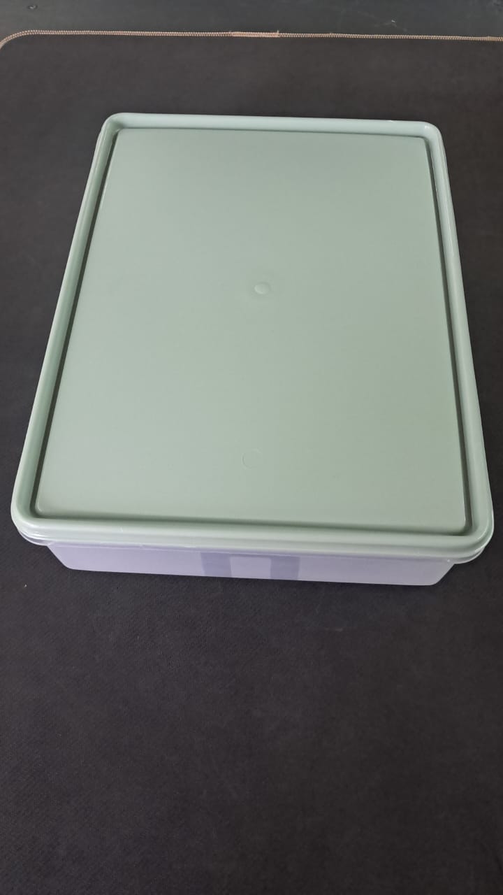 6Lt Food Storage Container FSRS6L