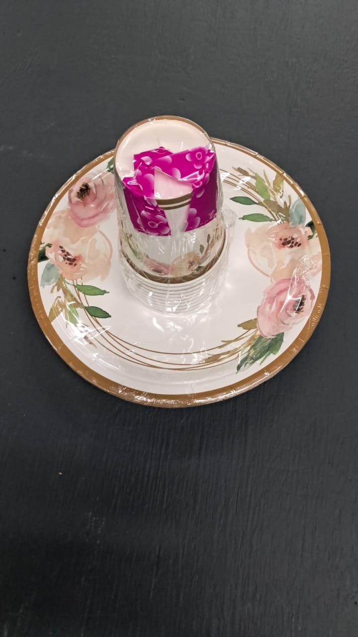 10pc Paper Plates And 10pc Paper Cup Set 1005