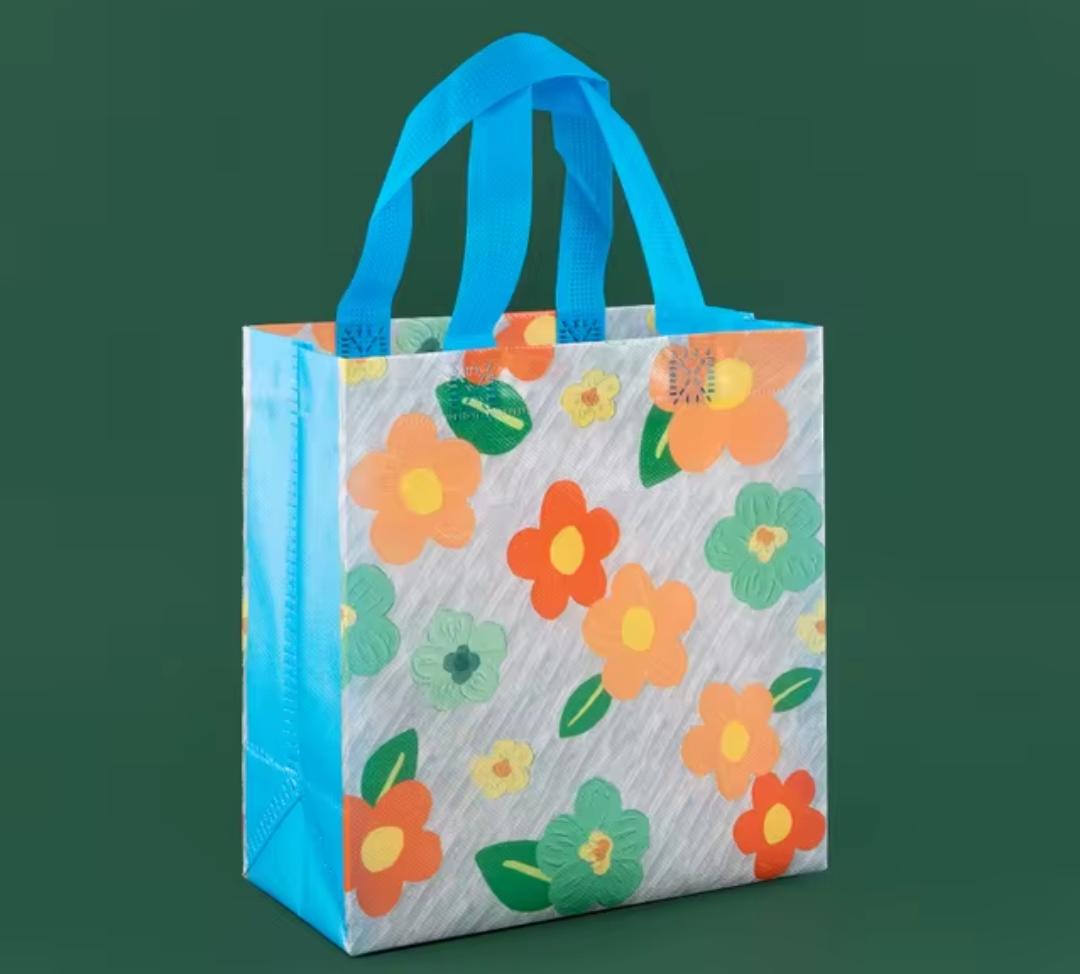 Plastic Woven Gift Bag 22 x 11 x 23cm 4005