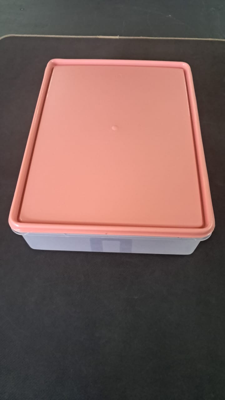 6Lt Food Storage Container FSRS6L