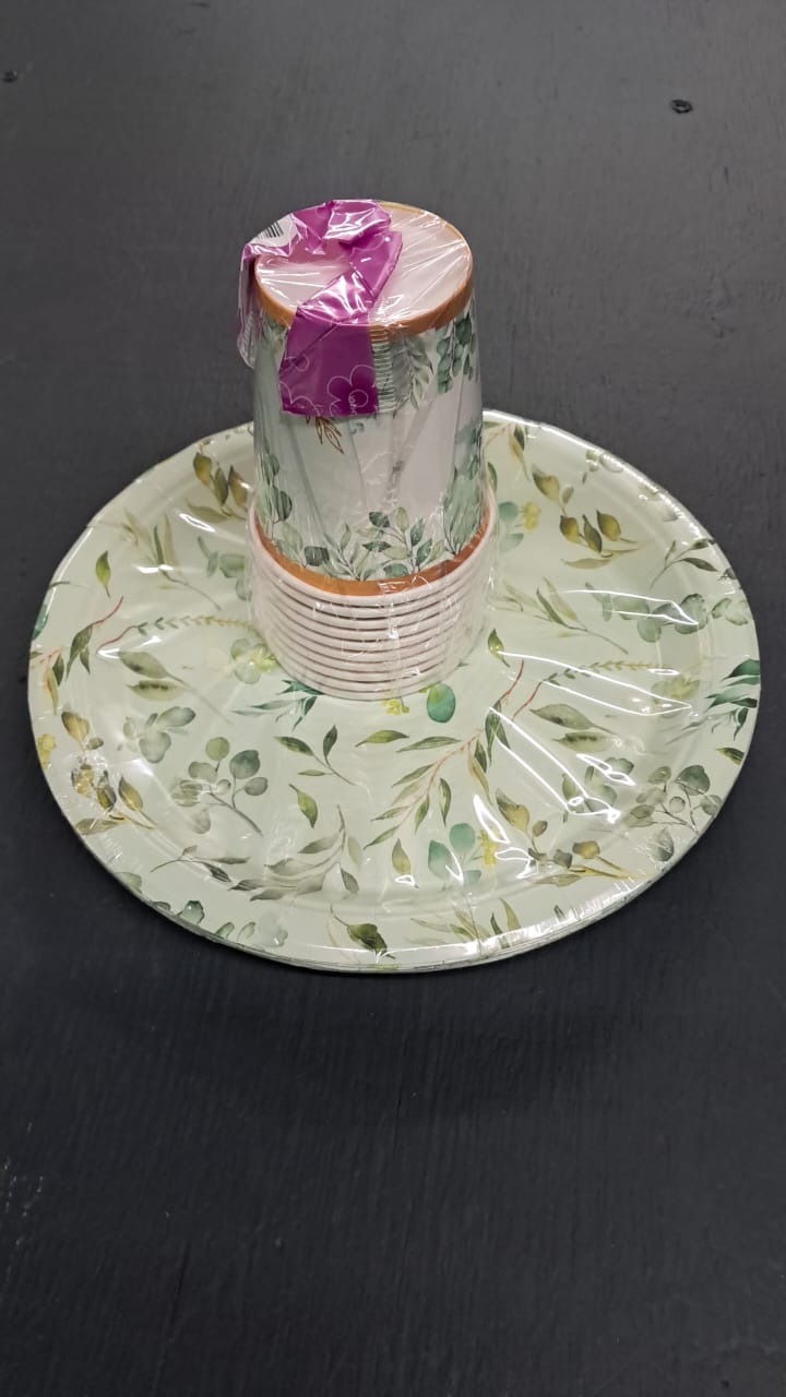 10pc Paper Plates And 10pc Paper Cup Set 1005