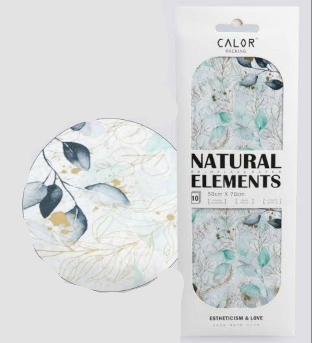 Natural Elements Snowflake Paper 50x70cm 40831