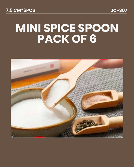 Mini Spice Spoon Pack of 6 JC307 7.5cm