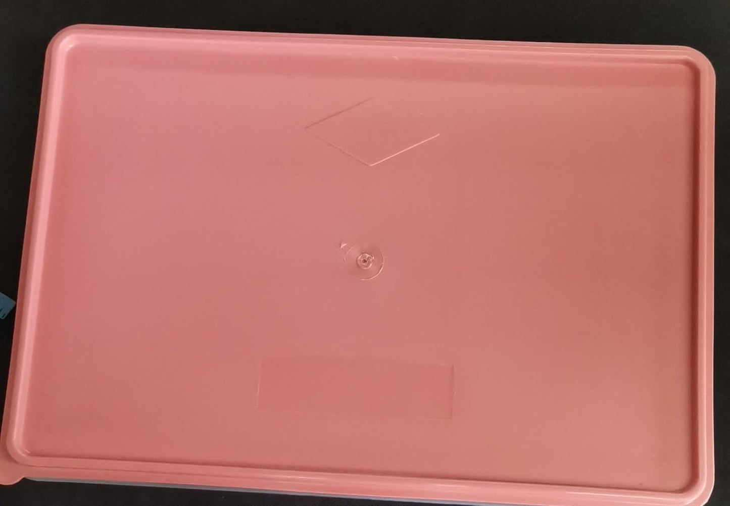 4lt Food Storage Container 35x25x8cm FSRS4L