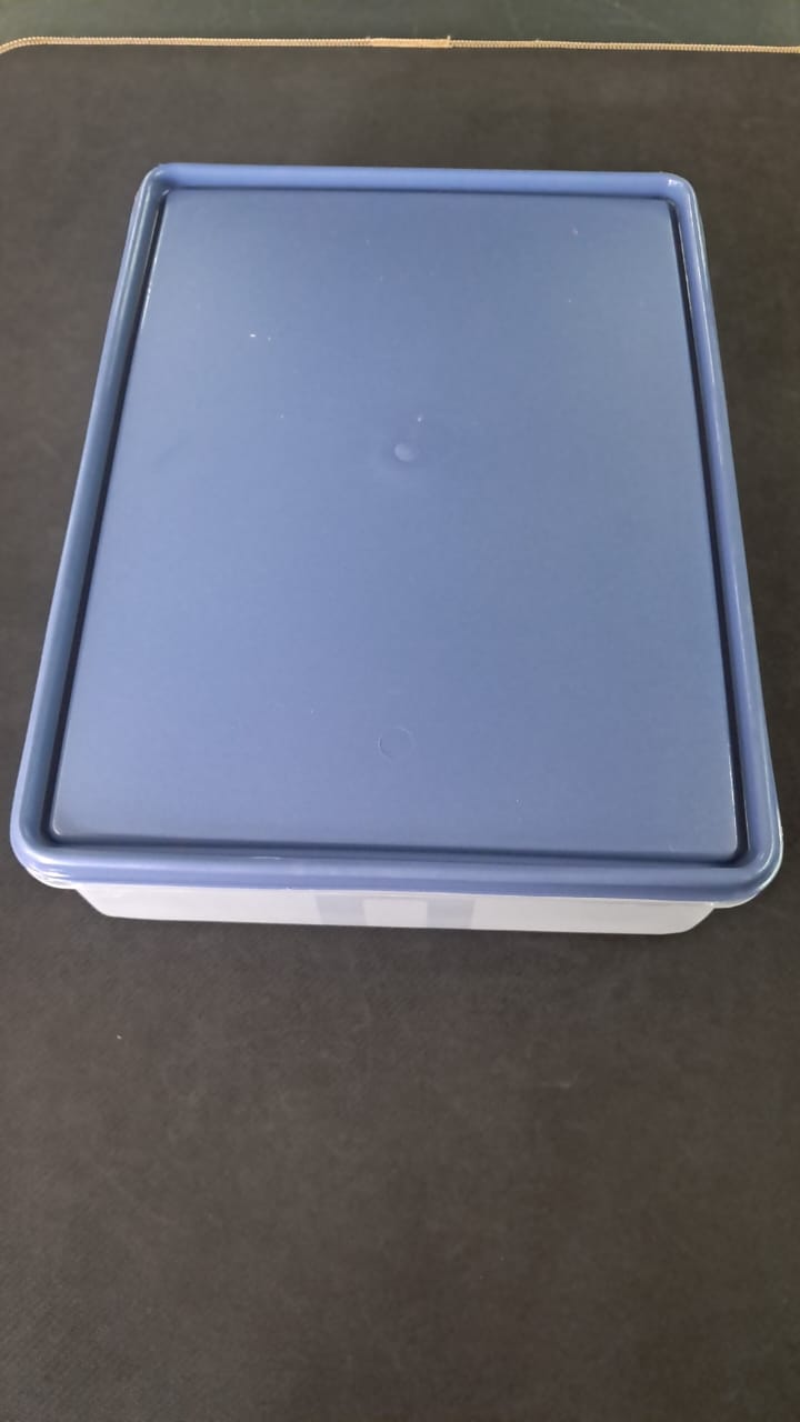 6Lt Food Storage Container FSRS6L